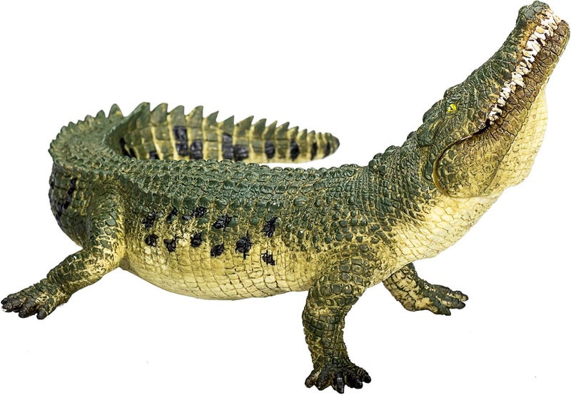 MOJO - Crocodile| Moving Jaw Feature | Hand-Painted Toy Figure | Prehistoric Life Collection | True to Life & Highly Detailed | Designed in UK. - Image 1